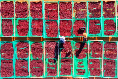 Kliande utslag på armarna – orsaker & snabb lindring