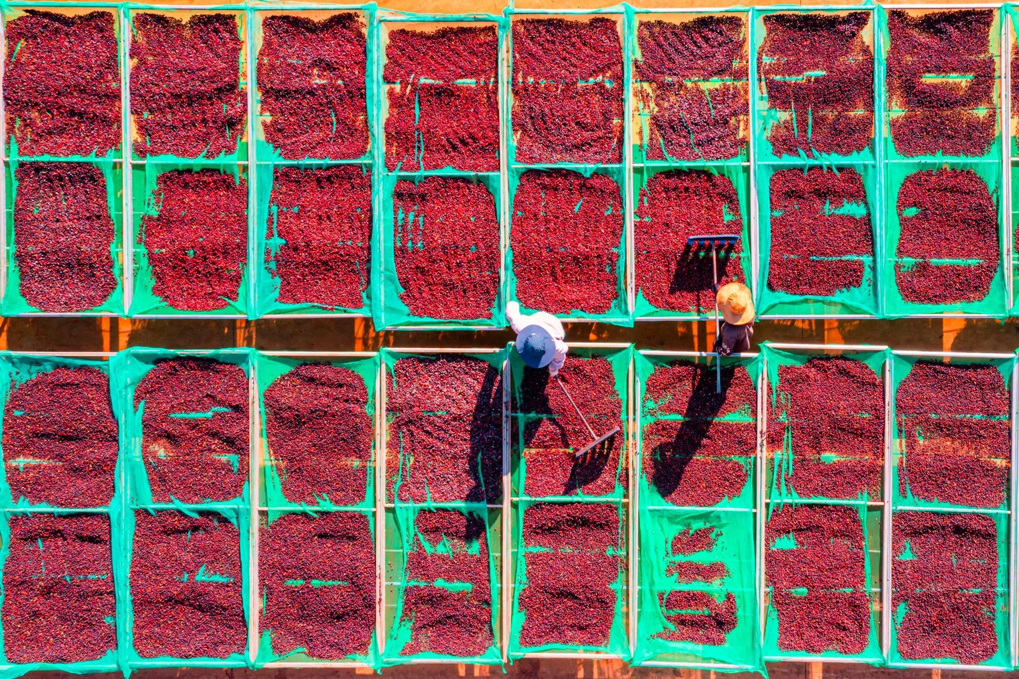 Kliande utslag på armarna – orsaker & snabb lindring